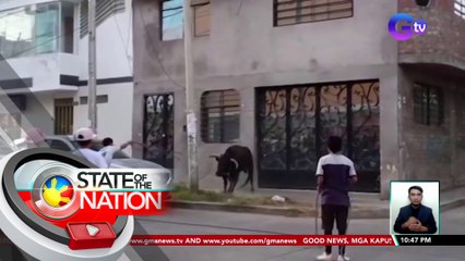 Toro, nakawala sa isang arena sa Peru; 5 nasaktan | SONA