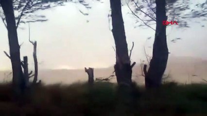 Çoban kum fırtınasını anlattı: Mallar öyle mal mal bakıyor