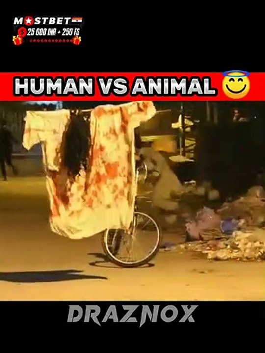 HUMAN VS ANIMAL __ Ghost Prank