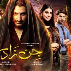 Jinzada Episode 01 - Syed Jibran - Nazish Jahangir - Saad Qureshi - 20th July 2023