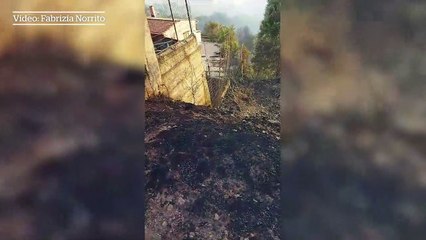Footage shows destruction left in wake of Palermo wildfire