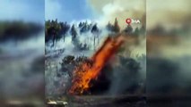 Burdur'da çıkan orman yangınında 1 hektar alan yandı