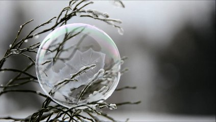Captivating Frozen Bubble on a Winter Tree - Nature's Frozen Art