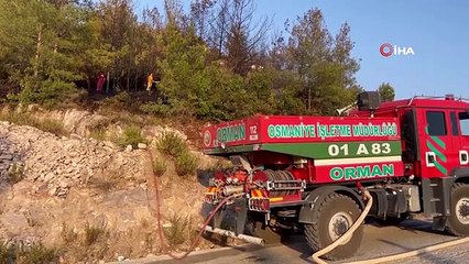 Osmaniye'de çıkan orman yangını kısa sürede söndürüldü
