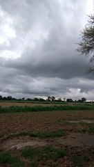 Explore the World of Movies 🎬