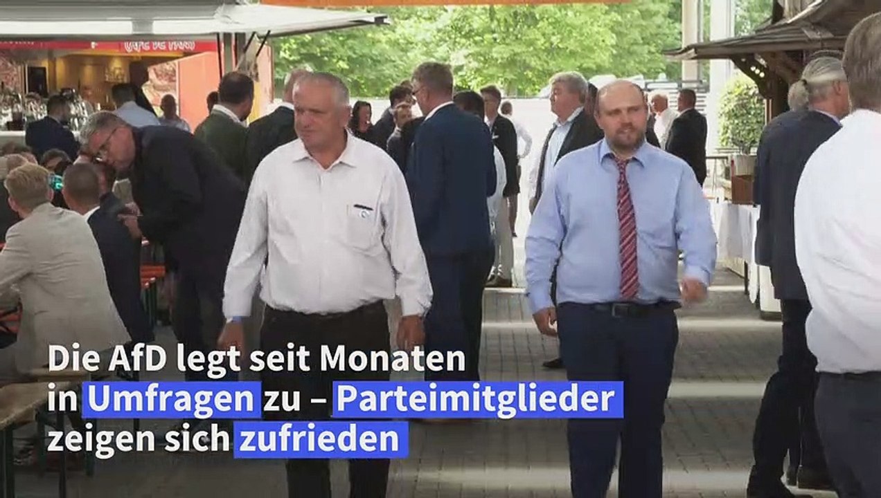 AfD-Bundesparteitag: Parteimitglieder zufrieden mit Umfragewerten