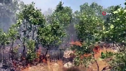 Diyarbakır'da çıkan örtü yangını 7 saat sonra kontrol altına alındı