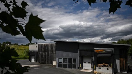 L'association L214 dénonce le carnage  à l'abattoir de Bazas en Gironde