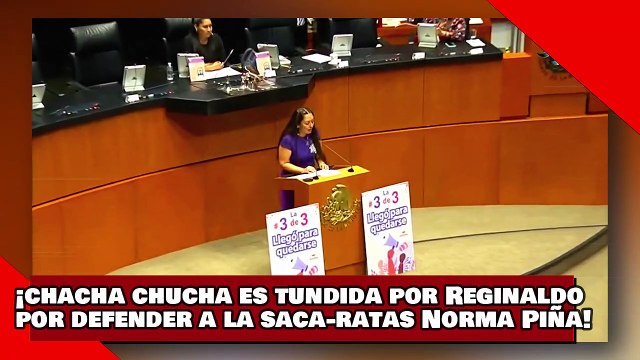 ¡VEAN! ¡Chacha de los chuchos es destrozada por Reginaldo por defender a la saca-ratas Norma Piña!