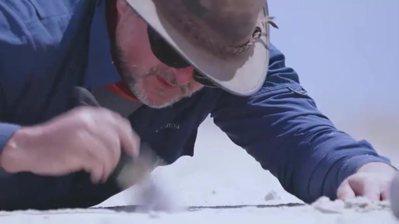 Fossilized Human Footprints Found In New Mexico