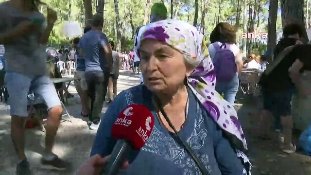 La résistance contre l'abattage des arbres se poursuit à Muğla