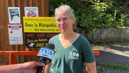Espèces envahissantes : la moule zébrée à la frontière de la Gaspésie