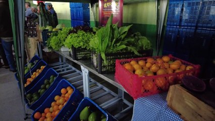 Central da Agricultura Familiar de Ivaiporã é inaugurada; veja