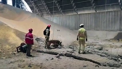 Vídeo mostra buscas de bombeiros em silo com 10 mil toneladas de milho