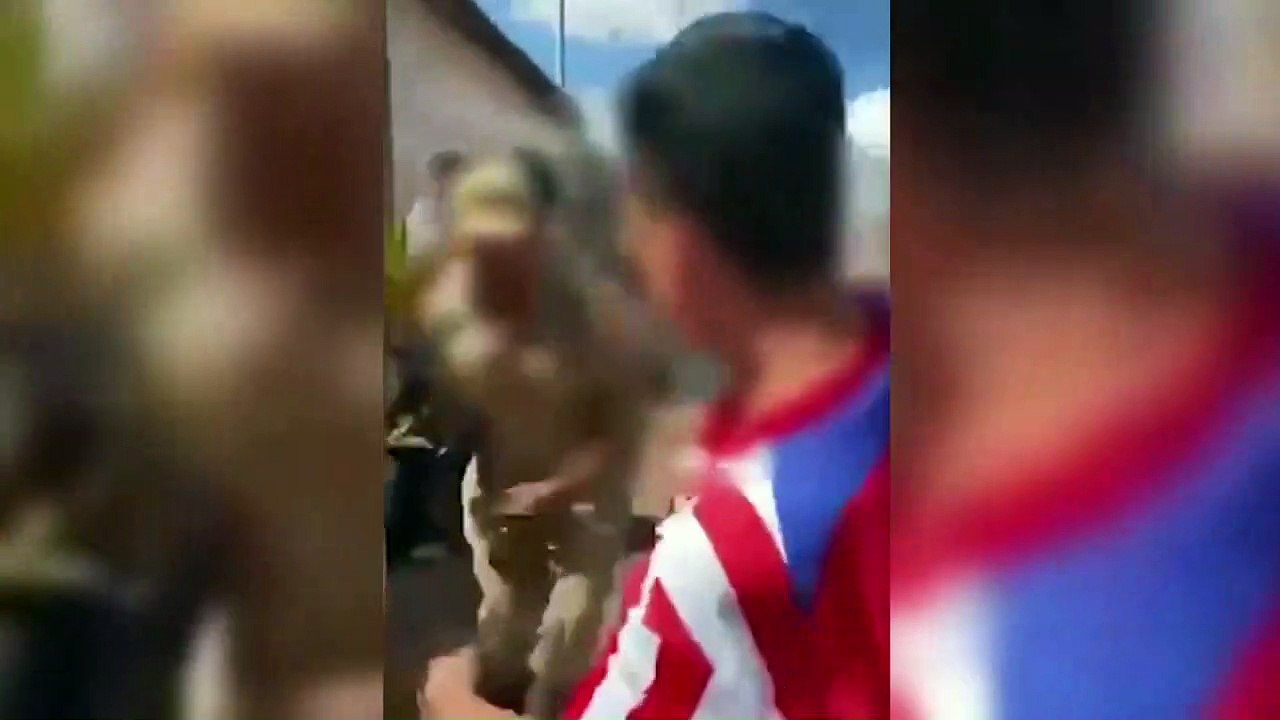 Ataque de cachorro provoca briga generalizada