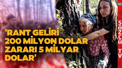 '4 Yıl İçin 100 Yıllık Ağaç Kesilecek' CHP'li Semra Dinçer Akbelen'deki Acı Tabloyu Aktardı!
