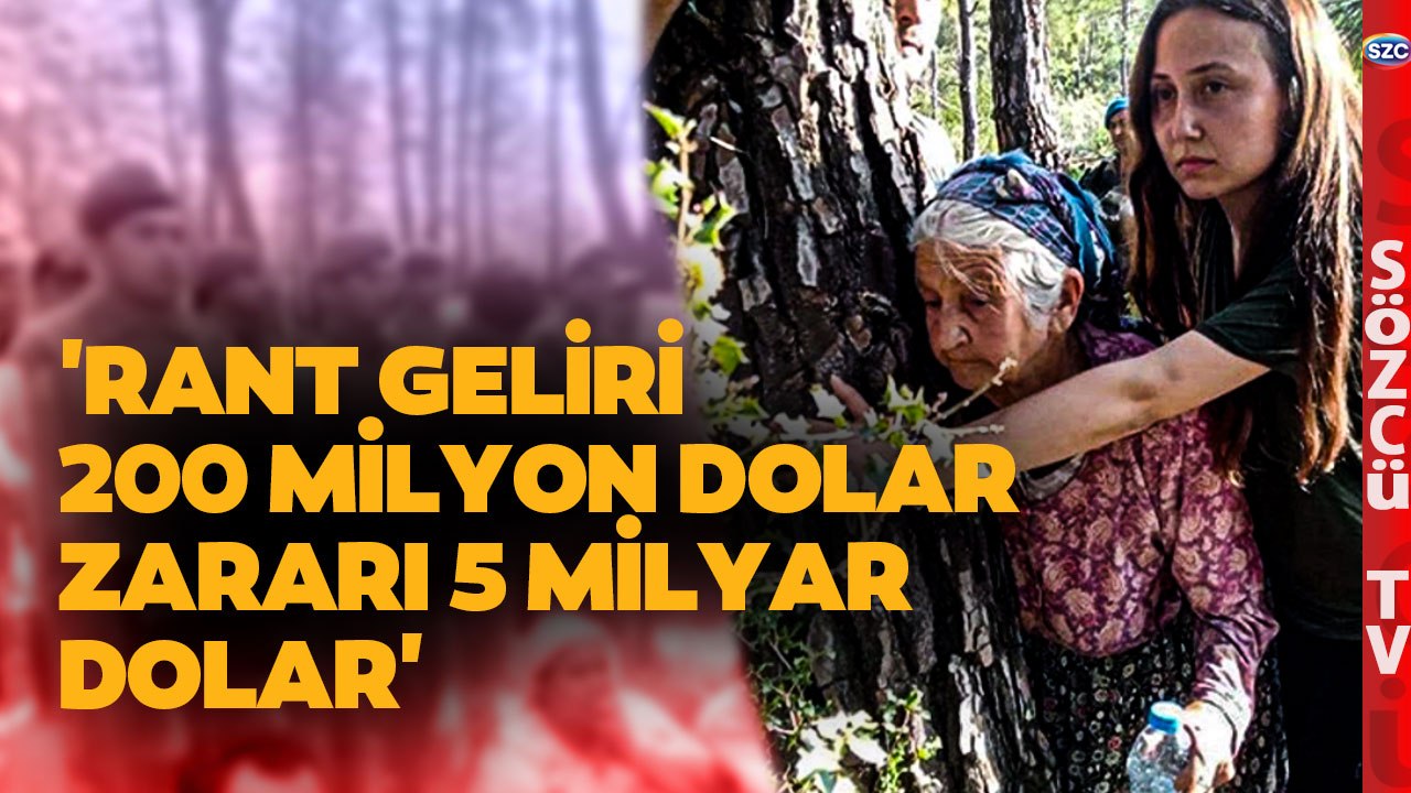 '4 Yıl İçin 100 Yıllık Ağaç Kesilecek' CHP'li Semra Dinçer Akbelen'deki Acı Tabloyu Aktardı!