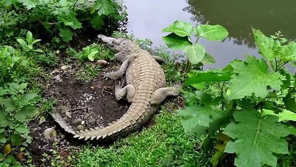 One In A Million Moments Captured on Camera