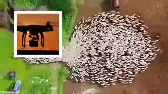 If This Was Not Recorded On Drones and CCTV Cameras, No One Would Believe It - Part 2