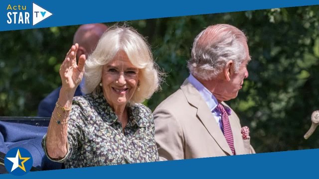 Ça ressemble beaucoup à... : Charles III et Camilla en plein fou rire devant une tourte insolite,