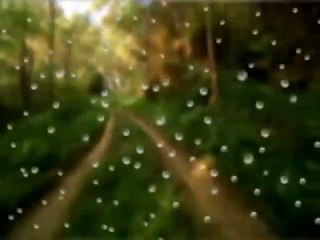 Hopi Hari / Simulador GM / Cinema 3D