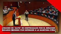 ¡VEAN! ¡Chacho de Alito es destrozado por el senador Ricardo Moreno por defender a la hampona Piña!