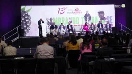 Sader niega deforestación por plantación de agave en Jalisco; se siembra en suelos de laderas