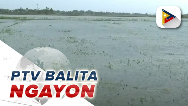 DA, nakapagtala ng mahigit P500M halaga ng pinsala sa agrikultura dahil sa Bagyong #EgayPH
