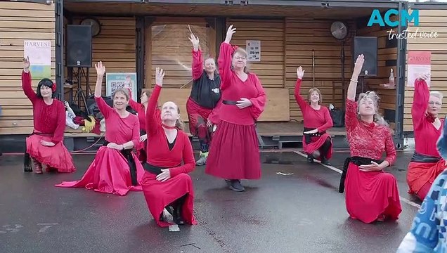 Kate Bush-themed flash mob at Harvest Market | The Examiner | July 29, 2023