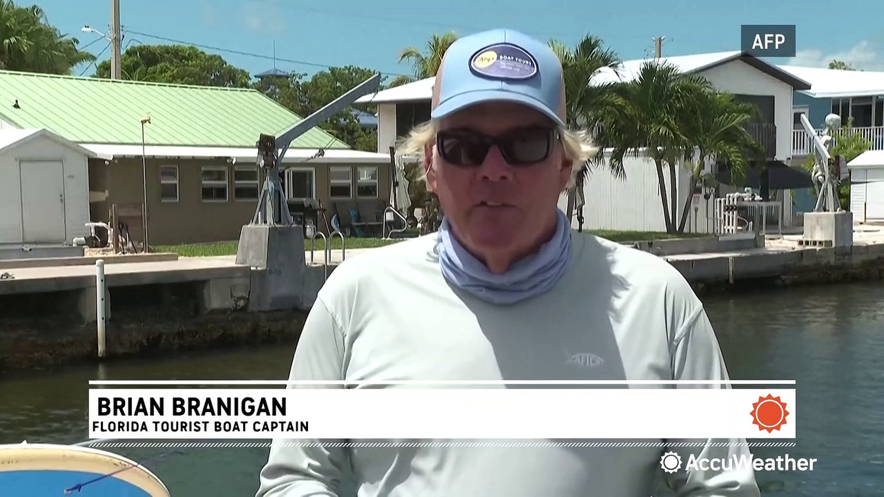 'I want to cry:' Extreme water temperatures off of Florida cause widespread coral bleaching