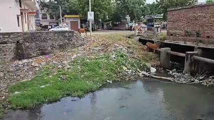 भीलवाड़ा में बड़े नालों से कचरा एक तरफ करने का दिया ठेका, निकालने का नहीं