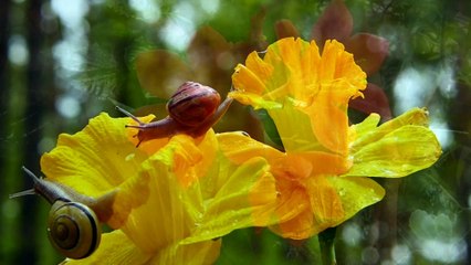 Music for the soul - And the rain keeps pouring