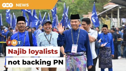 Tok Mat dismisses claims Najib loyalists backing PN for polls