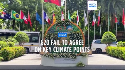 G20 ministers fail to reach agreement on key climate issues