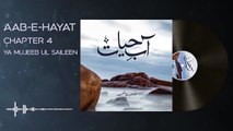 080. Sikandar Usman ke Salar k adaray k liye de janay wali raqam - Aab e Hayat Novel Episode 80