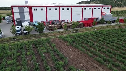 Bingöl'de sebze fideleri ile silajlık mısırlar denetlendi