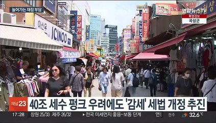 세수 부족에도 '감세 정책' 추진…"추경은 없다"