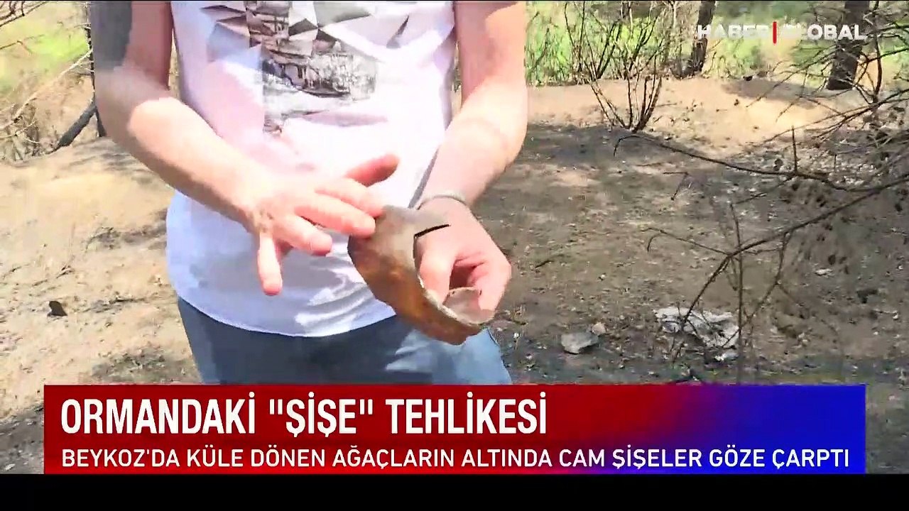 Ormandaki şişe tehlikesi!