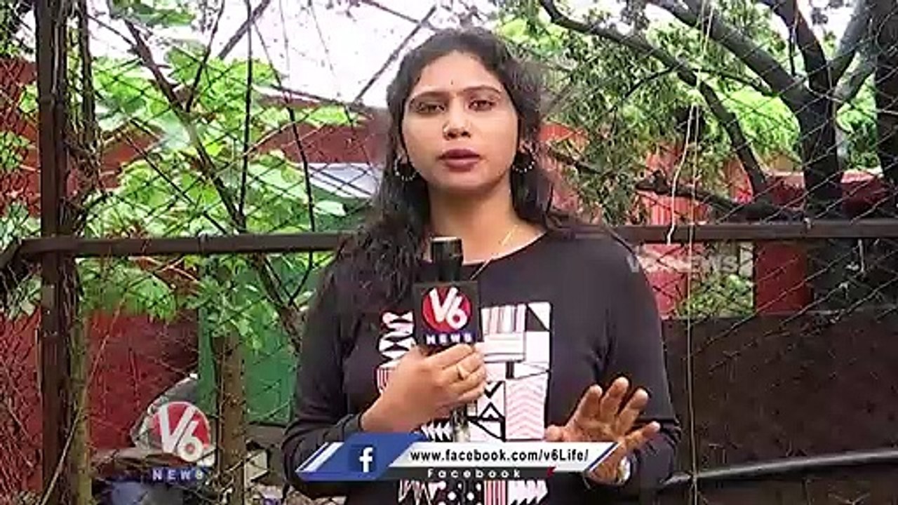 Flood Water Flowing At Nehru Zoological Park _ Hyderabad Rains _ V6 News (1)