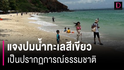 ไม่ต้องตกใจ! แจงปมน้ำทะเลสีเขียว ยันเป็นปรากฏการณ์ธรรมชาติเกิดขึ้นทุกปี | HOTSHOT เดลินิวส์ 29/07/66