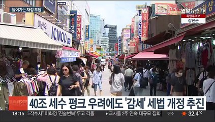 세수 부족에도 '감세 정책' 추진…"추경은 없다"