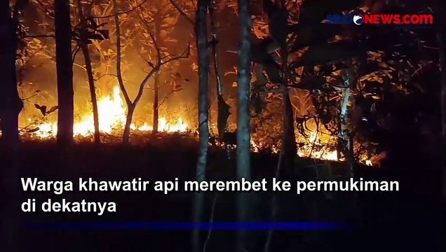 3 Hektare Lahan Hutan Jati Terbakar di Pangandaran, Api Diduga dari Sisa