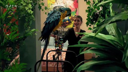 Σ’ αγαπάω μεν… αλλά - Επεισόδιο 23 (Το ονοματάκι σας…;)