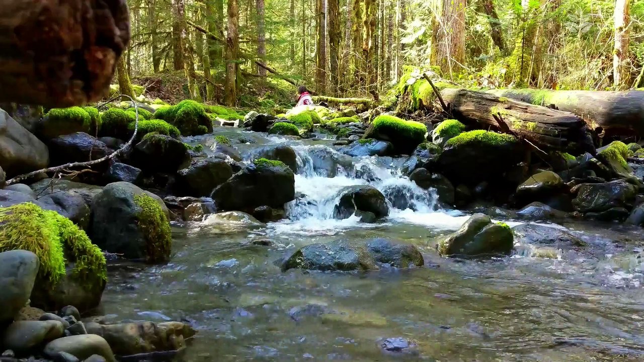 Serenity in the Mountains ️ 1 Hour of Peaceful Water Stream Sounds 