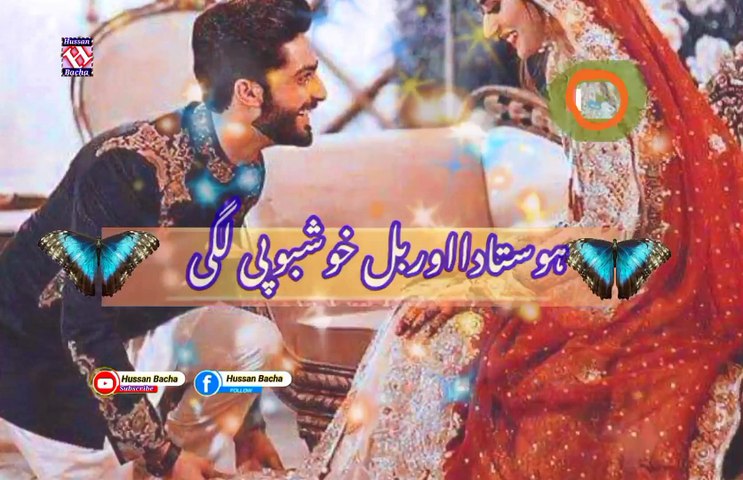 Zama sandari warta waya | Pashto poetry | pashto black screen status | hussan bacha.