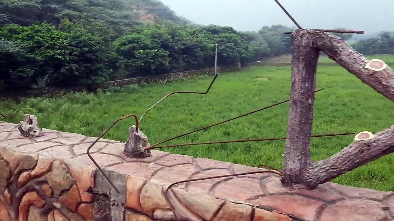चार करोड़ की लागत से तैयार बायोडायवरसिटी पार्क खो रहा रंगत, पार्क बन गया हैं जंगल