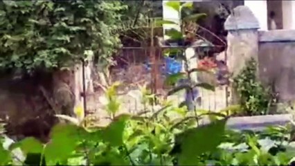 তৃণমূল প্রার্থীকে খুনের চেষ্টার মামলায় সিপিআই(এম)-এর ১৩ জনের শর্তাধীন আগাম জামিন মঞ্জুর ~ ২৬.০৭.২০২৩