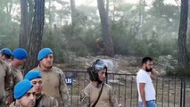 Akbelen'de ağaçlar Jandarmanın ablukası altında kesiliyor