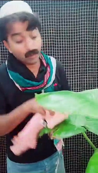 funny vedio by aftab ahmad