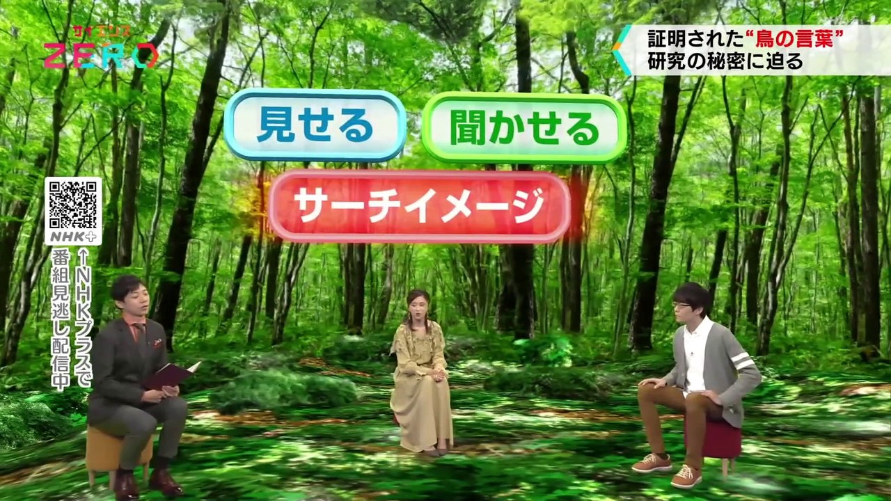「鳥の言葉を証明せよ！“動物言語学”の幕開け」サイエンスZERO
